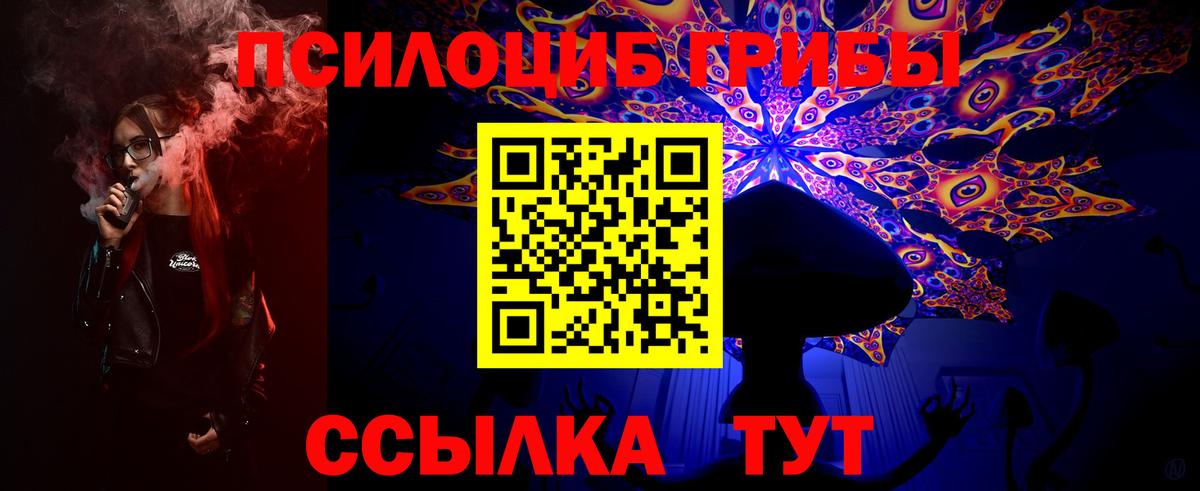 Псилоцибиновые грибы MAGIC MUSHROOMS  Вход с VPN  Псилоцибиновые грибы MAGIC MUSHROOMS  Чита 