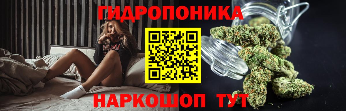 Каннабис OG Kush Чита